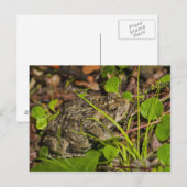 カナダ アルバータ州 エドモントン ポストカード (正面/裏面)