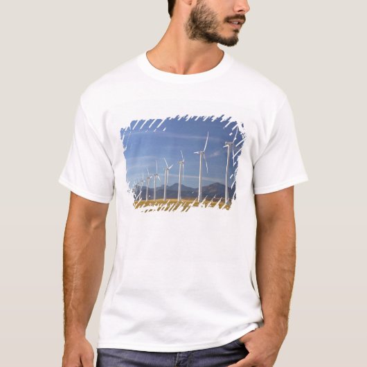 カナダ アルバータ州 クラウズネストパス地域: カウリー Tシャツ (正面)