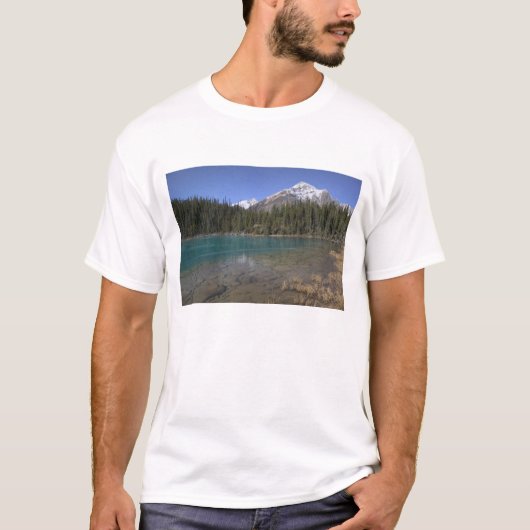カナダ アルバータ州 ジャスパー国立公園: JASPER, Tシャツ (正面)