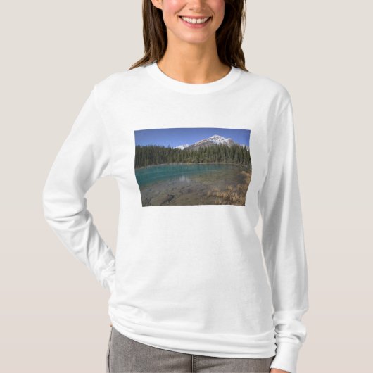 カナダ アルバータ州 ジャスパー国立公園: JASPER, Tシャツ (正面)
