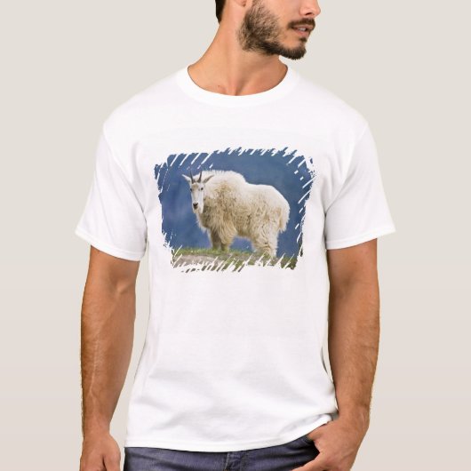 カナダ アルバータ州 ジャスパー国立公園, Tシャツ (正面)