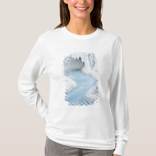 カナダ アルバータ州 ジャスパー国立公園 Tシャツ (正面)