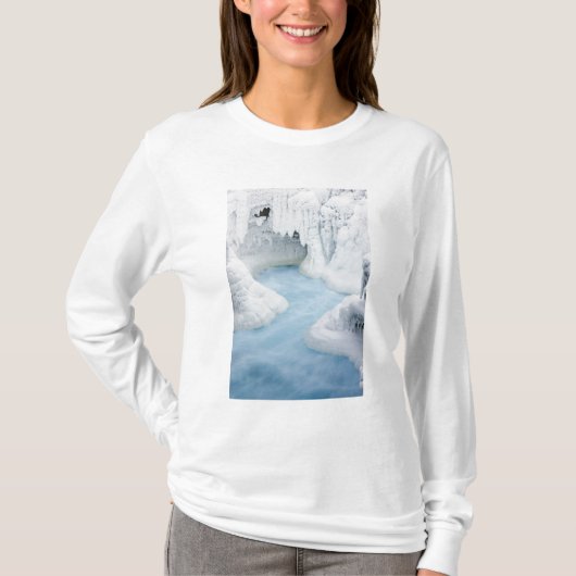 カナダ アルバータ州 ジャスパー国立公園 Tシャツ (正面)