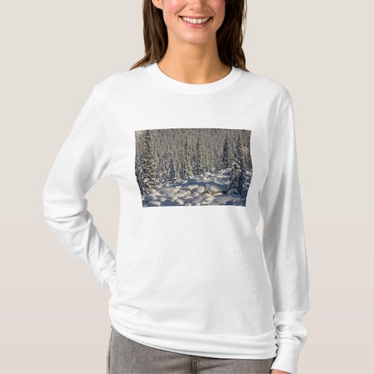 カナダ アルバータ州 ジャスパー国立公園 Tシャツ (正面)
