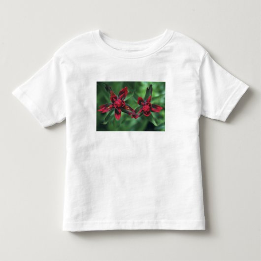 カナダ アルバータ州 バンフ国立公園のハナシノブ トドラーTシャツ (正面)