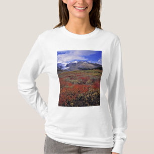 カナダ アルバータ州 バンフ国立公園 ブルーベリーが Tシャツ