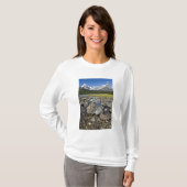 カナダ, アルバータ州, ロッキー山脈, バンフ国立 Tシャツ (正面フル)