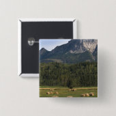 カナダ、アルバータ州、釘付き干し草の畑 缶バッジ (正面&裏面)