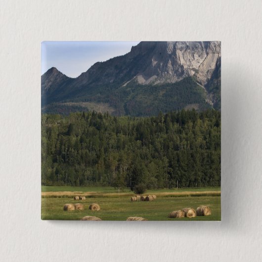 カナダ、アルバータ州、釘付き干し草の畑 缶バッジ (正面)