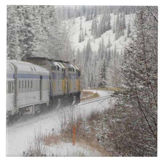 カナダ、アルバータ州。VIA鉄道雪車間 タイル (正面)