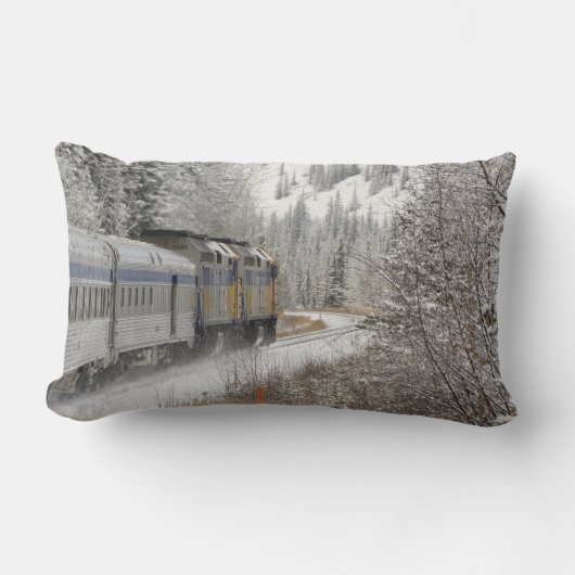 カナダ アルバータ州 VIA Rail スノートレイン、 ランバークッション (正面)