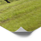 カナダ，アルバータ，カルガリー ポスター (角)