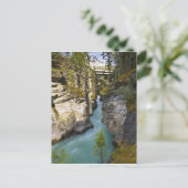 カナダ,アルバータ,ジャスパー国立公園,アサバスカ2 ポストカード (スタンド正面)