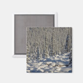 カナダ、アルバータ、ジャスパー国立公園。 マグネット (正面/裏面)