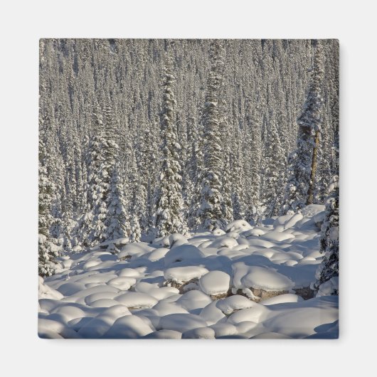 カナダ、アルバータ、ジャスパー国立公園。 マグネット (正面)