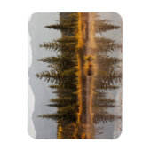 カナダ、アルバータ、ジャスパー国立公園 マグネット (縦)