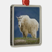 カナダ、アルバータ、ジャスパー国立公園。 メタルオーナメント (右)