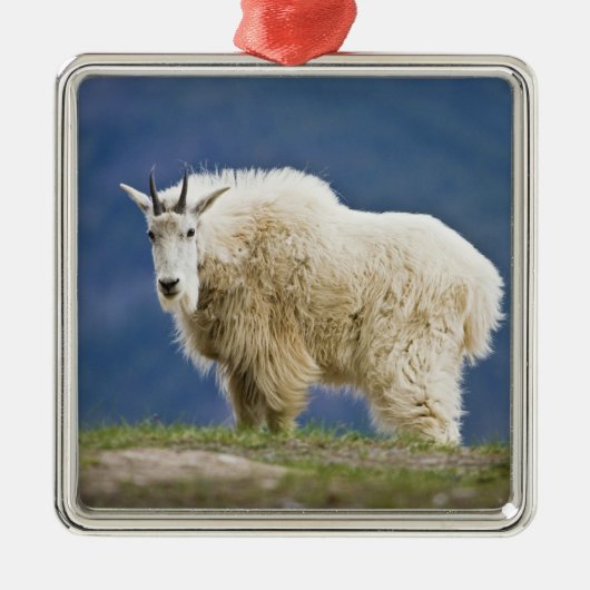 カナダ、アルバータ、ジャスパー国立公園。 メタルオーナメント (正面)