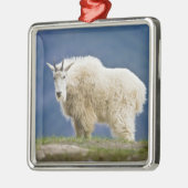 カナダ、アルバータ、ジャスパー国立公園。 メタルオーナメント (左)