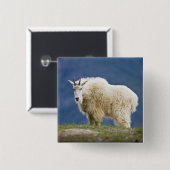 カナダ、アルバータ、ジャスパー国立公園。 缶バッジ (正面&裏面)