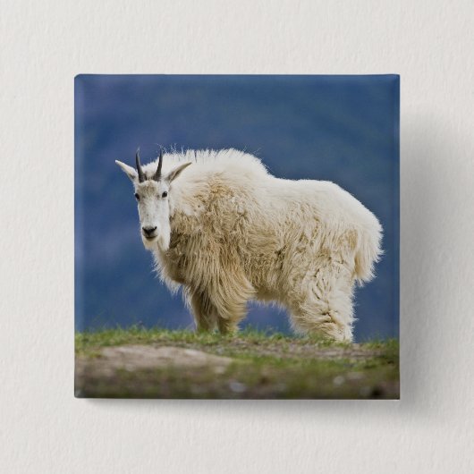 カナダ、アルバータ、ジャスパー国立公園。 缶バッジ (正面)