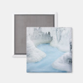 カナダ、アルバータ、ジャスパー国立公園。100 マグネット (正面/裏面)