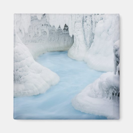 カナダ、アルバータ、ジャスパー国立公園。100 マグネット (正面)