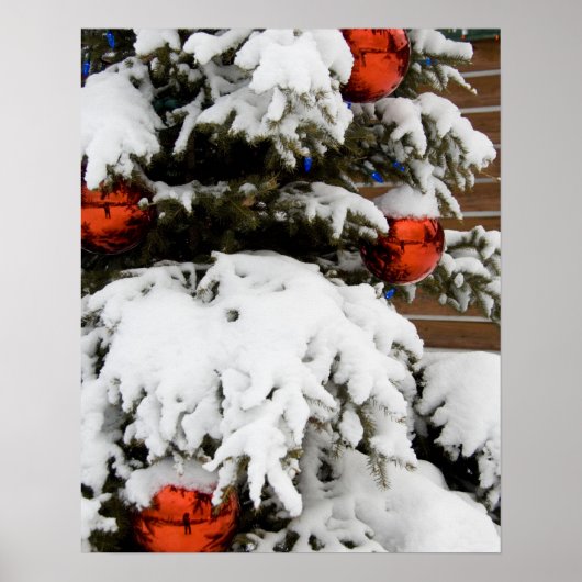 カナダ、アルバータ、ジャスパー、ジャスパーNP。フェアモント2 ポスター (正面)