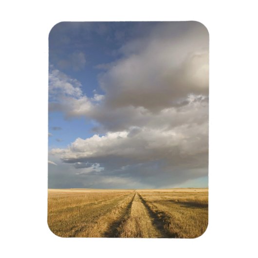 カナダ、アルバータ、スタンドオフ：横 マグネット (縦)