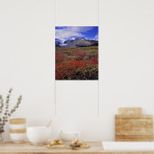 カナダ、アルバータ、バンフNP。ハックルベリー ポスター (キッチン)