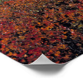 カナダ、アルバータ、バンフNP。ハックルベリー ポスター (角)