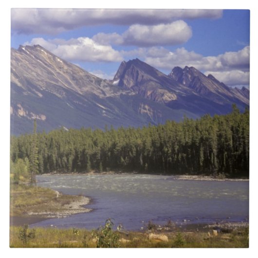 カナダ、アルベルタ、ジャスパー国立公園ラージ タイル (正面)