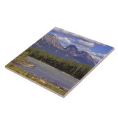 カナダ、アルベルタ、ジャスパー国立公園ラージ タイル (側面)