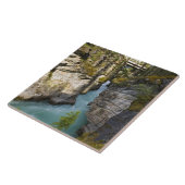 カナダ、アルベルタ、ジャスパー国立公園、アタバスカ2 タイル (側面)