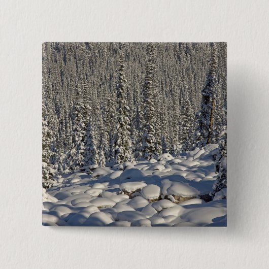 カナダ、アルベルタ、ジャスパー国立公園 缶バッジ (正面)