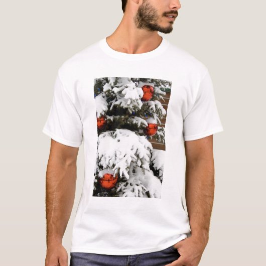 カナダ、アルベルタ、ジャスパー、ジャスパーNPフェアモント2 Tシャツ (正面)