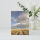 カナダ、アルベルタ、スタンドオフ:横 ポストカード (スタンド正面)