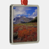 カナダ、アルベルタ、バンフNP。ハックルベリーズ開花 メタルオーナメント (右)