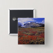 カナダ、アルベルタ、バンフNP。ハックルベリー 缶バッジ (正面&裏面)