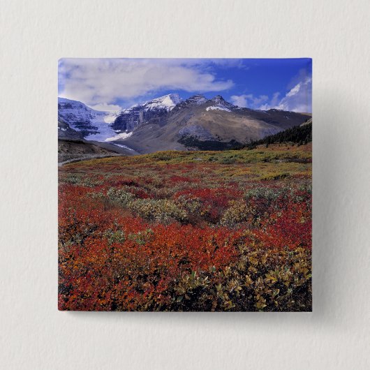 カナダ、アルベルタ、バンフNP。ハックルベリー 缶バッジ (正面)