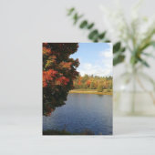 カナダ，オンタリオの秋の木 ポストカード (スタンド正面)