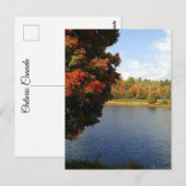カナダ，オンタリオの秋の木 ポストカード (正面/裏面)