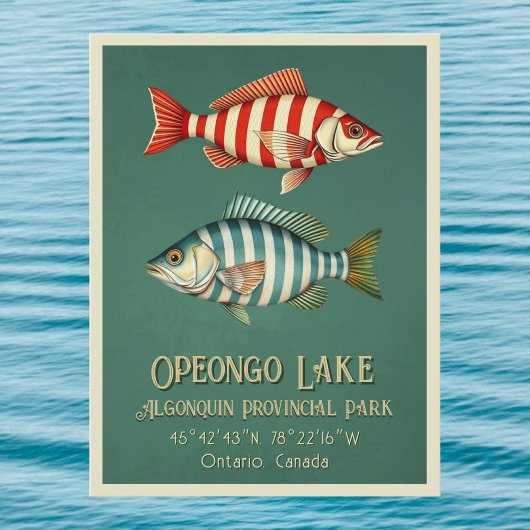 カナダ オンタリオ州 オペオンゴ湖 魚 葉書 ポストカード