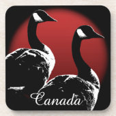 カナダ カルガ モンゴメリー カスタム カナダコースター コースター (正面)