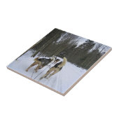 カナダ，ケベック州のドッグスレディング タイル (側面)