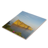 カナダ、ケベック州のRocher Perce (Perce Rock)。 タイル (側面)