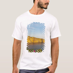 カナダ、ケベック州のRocher Perce (Perce Rock)。 Tシャツ