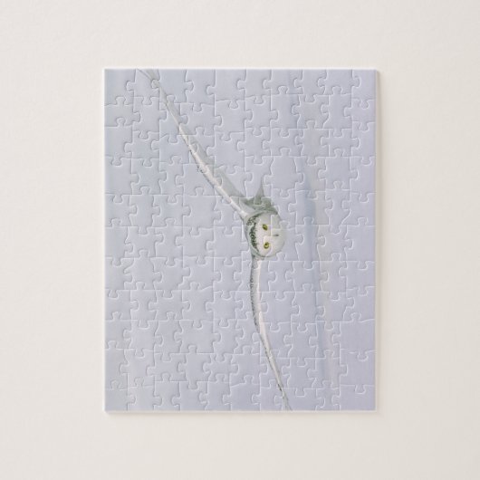 カナダ、ケベック州。フクロウは雪の上を低く飛ぶ。 ジグソーパズル (縦)