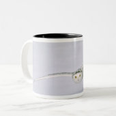 カナダ、ケベック州。フクロウは雪の上を低く飛ぶ。 ツートーンマグカップ (正面左)