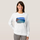 カナダ, ケベック州, マグダレン諸島, キャップ・アルライト Tシャツ (正面フル)